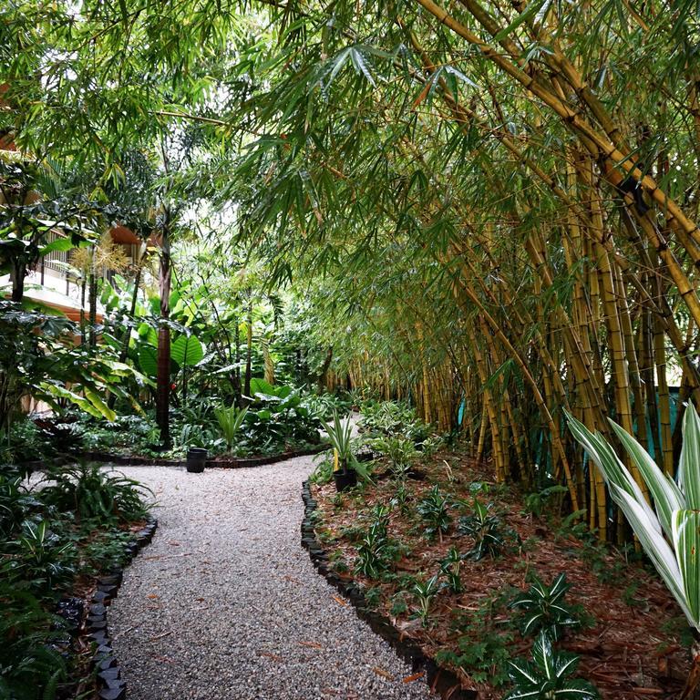 Jacana Amazon Wellness Resort Paramaribo Exterior foto