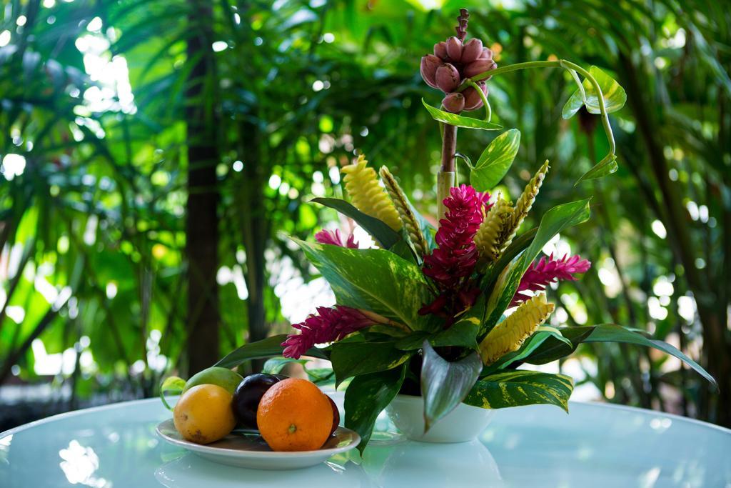 Jacana Amazon Wellness Resort Paramaribo Exterior foto