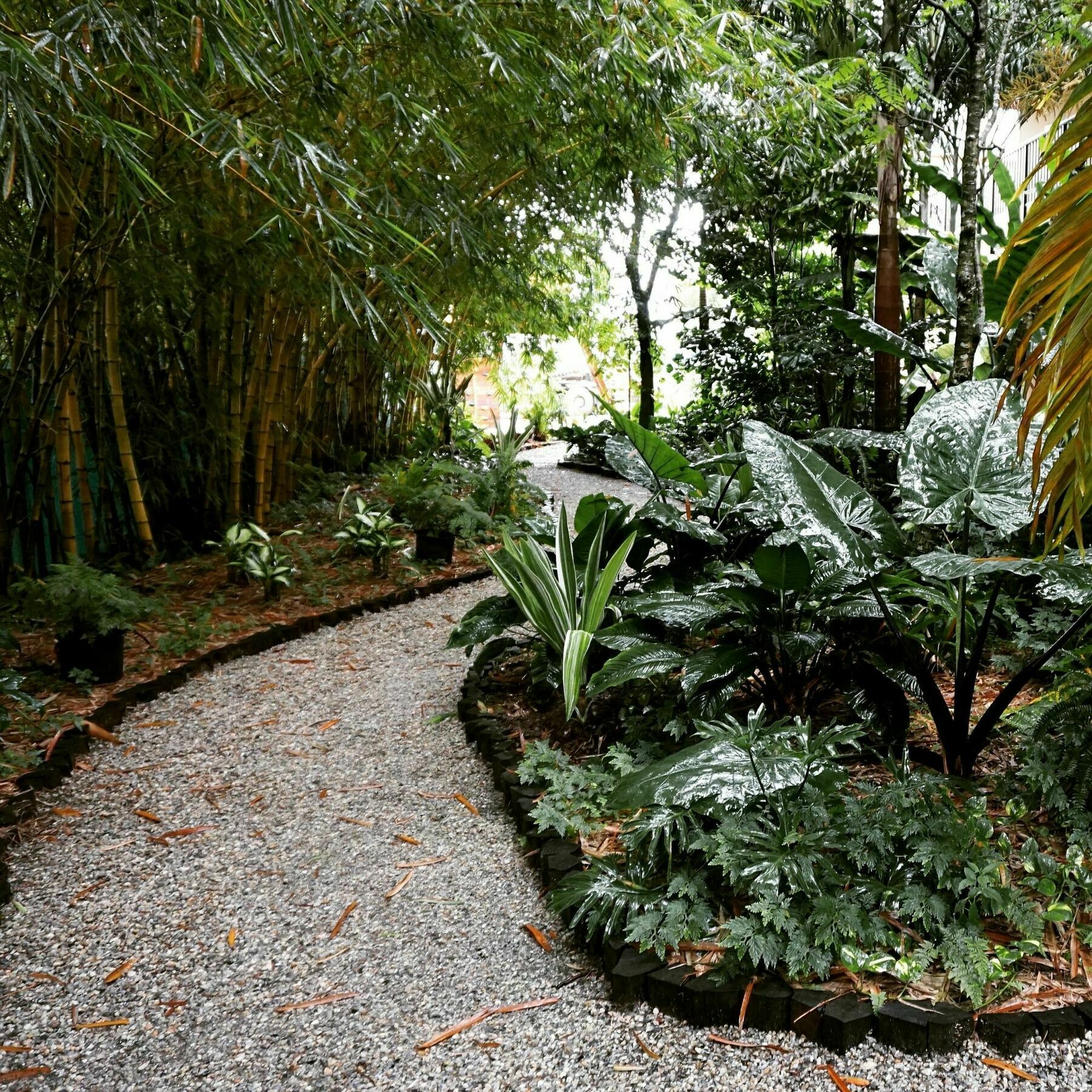 Jacana Amazon Wellness Resort Paramaribo Exterior foto